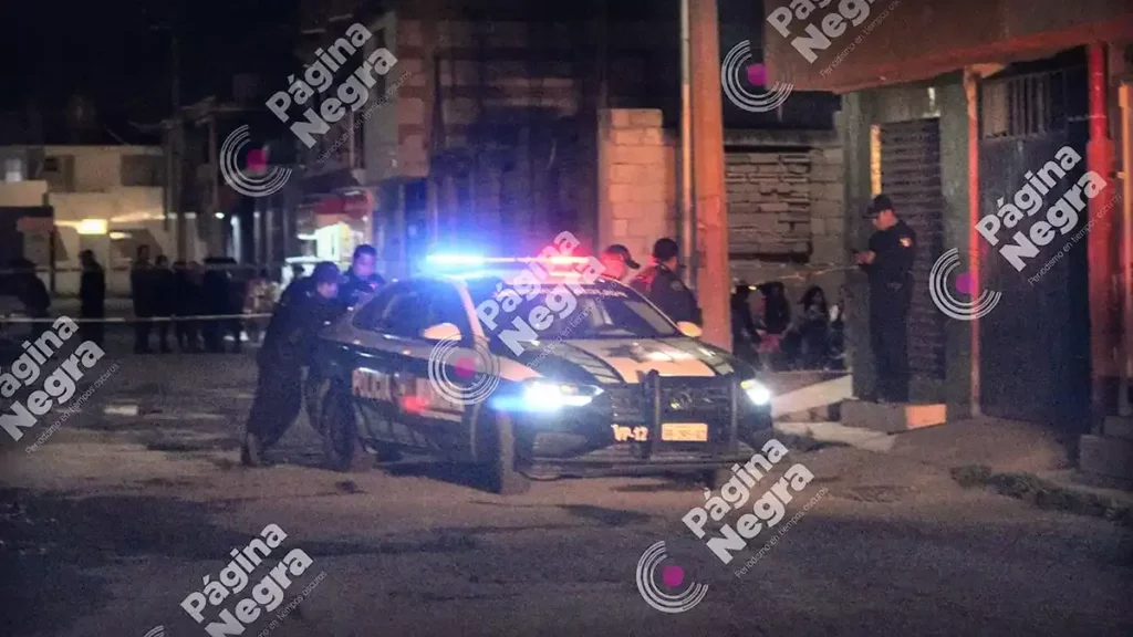 Miriam vino de visita a Puebla y su hijo la asesinó.