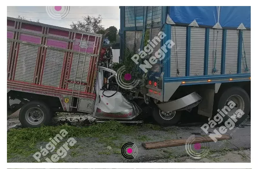 Los cuerpos de las víctimas fueron trasladados al anfiteatro municipal.