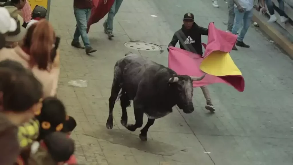 Huamantlada es la “capea más grande del mundo”; hubo varios lesionados