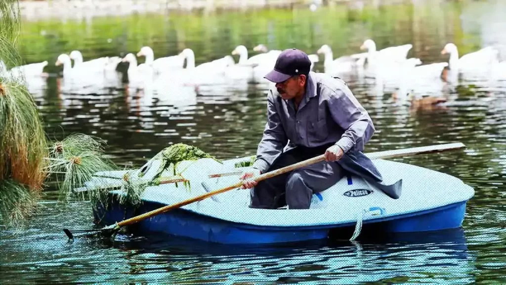 Gobierno de Puebla limpia el Lago de la Concordia