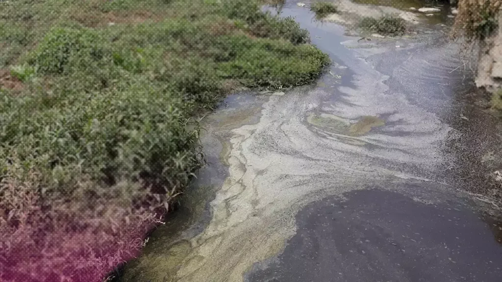 Gobierno y Ayuntamiento de Huejotzingo clausuran empresas por contaminar el Atoyac