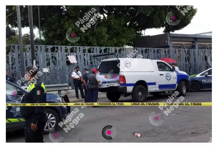 Mujer muere atropellada por una ruta Flecha Verde; tenía 70 años.