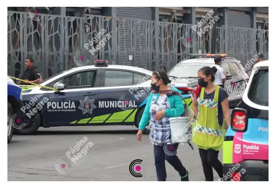 Mujer muere atropellada por una ruta Flecha Verde; tenía 70 años.