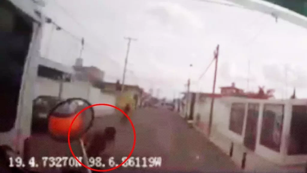 VIDEO: Cámara de la Ruta 68 captó momento que atropelló a un niño