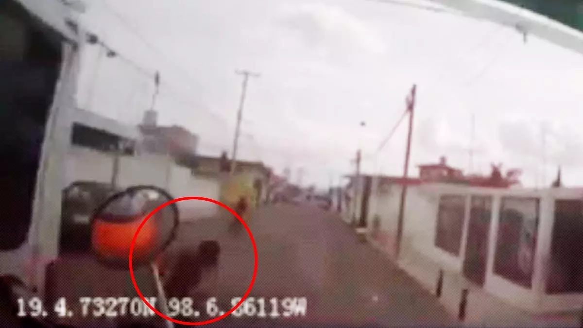 VIDEO: Cámara de la Ruta 68 captó momento que atropelló a un niño