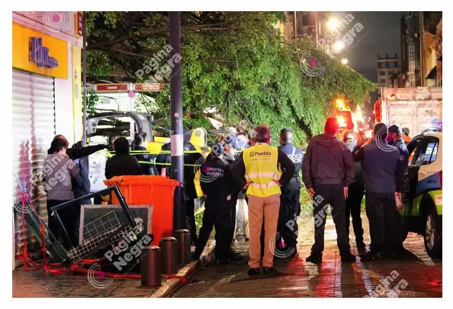 Tromba en Puebla tira un árbol y muere un niño de 12 años