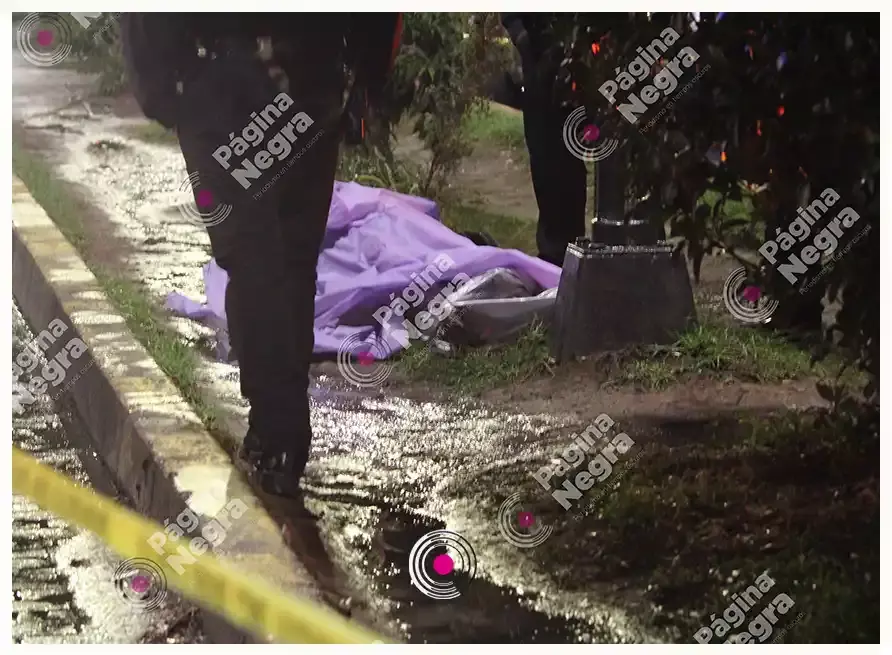 En un camellón quedó su cuerpo: indigente murió en la colonia Centro.
