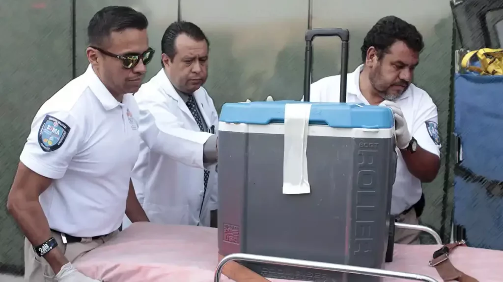 Puebla, en los primeros lugares en donación de órganos durante 2022.