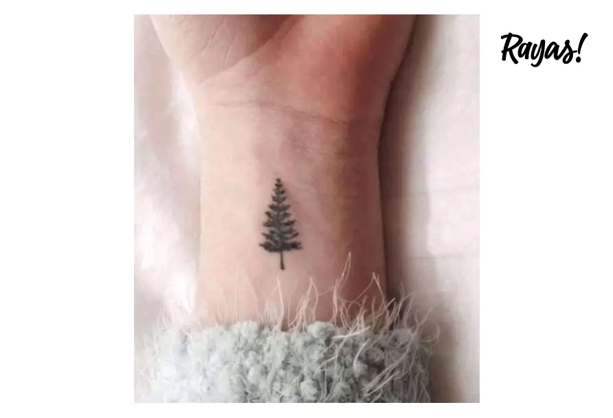 Tatuajes pequeños 15 diseños que te inspirarán a hacerte uno