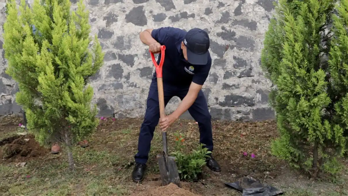 Implementa Ayuntamiento de San Andrés Cholula, jornada de forestación en San Francisco Acatepec