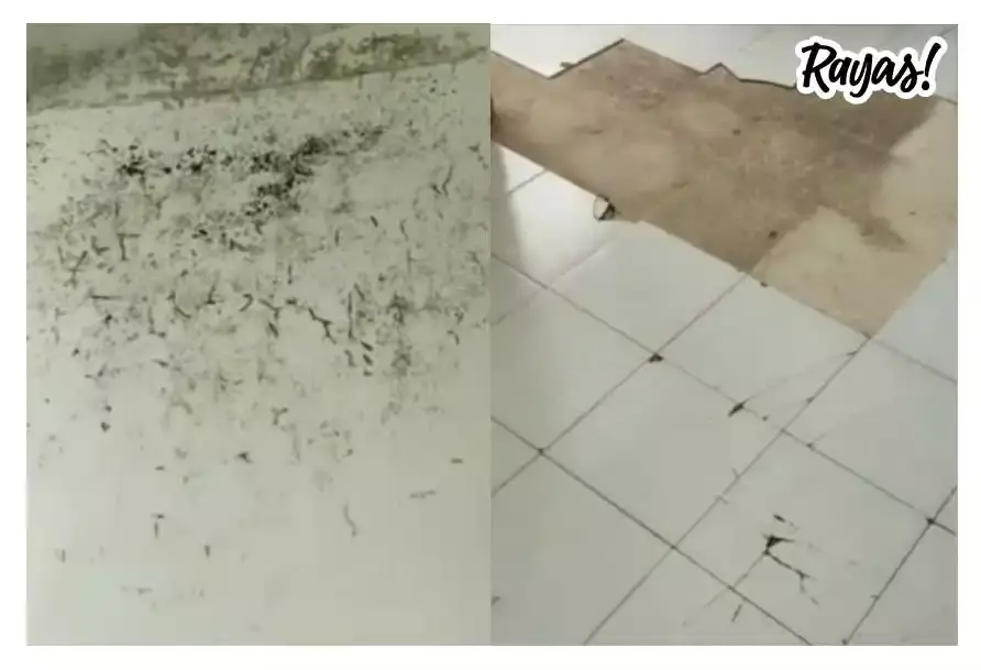 Alumnas de Normal de Teteles viven entre goteras; desmienten a Melitón Lozano