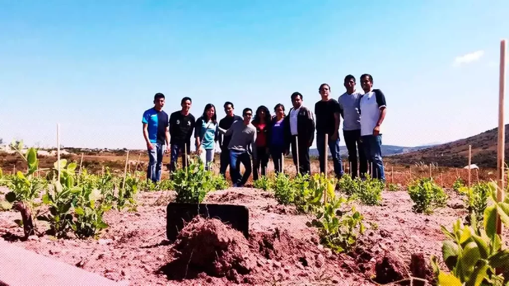 Alumnos BUAP trabajan para salvar suelos ácidos con la técnica de cultivo Zaï
