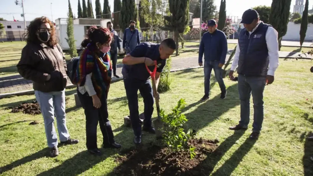 Realiza Mundo Tlatehui Jornada de Forestación en parque de Santa María Cuaco de la Cabecera Municipal
