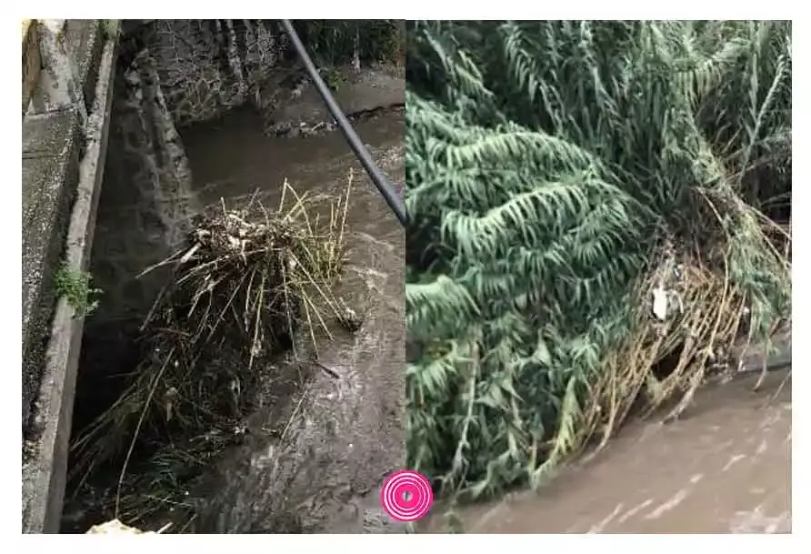 El sábado 24 de septiembre, el desbordamiento del Río Alseseca dejó inundaciones en varias colonias de Puebla
