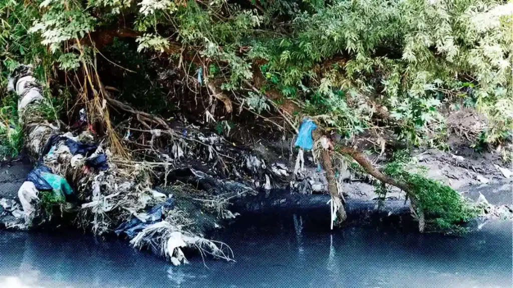 Primer foro sobre la problemática de contaminación de la cuenca Alto Atoyac
