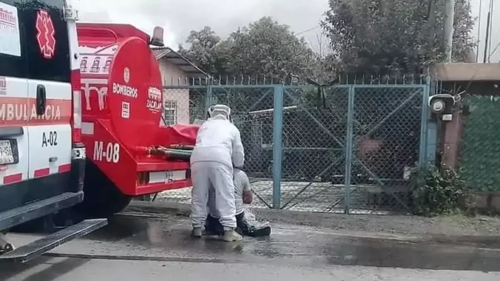 Ataque de abejas deja ocho heridos, dos de gravedad, en Zacatlán.
