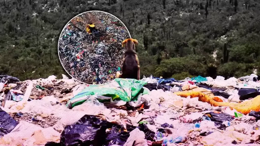 Rellenos sanitarios de Puebla, un problema y peligro ambiental