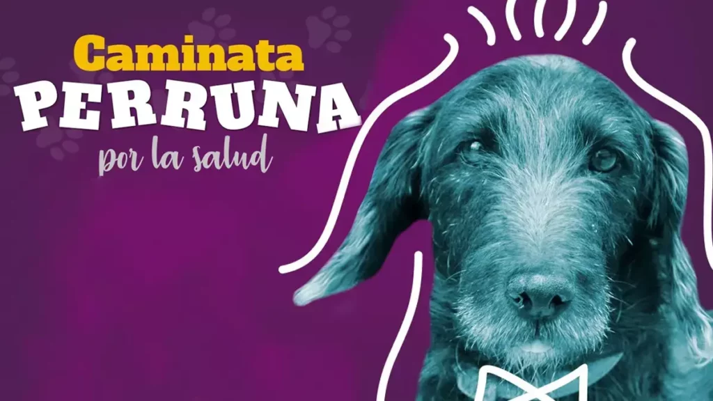 Así será la primera caminata perruna organizada por la BUAP