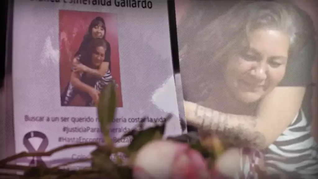 Hermana de Esmeralda Gallardo será custodia de su hijo y nieta