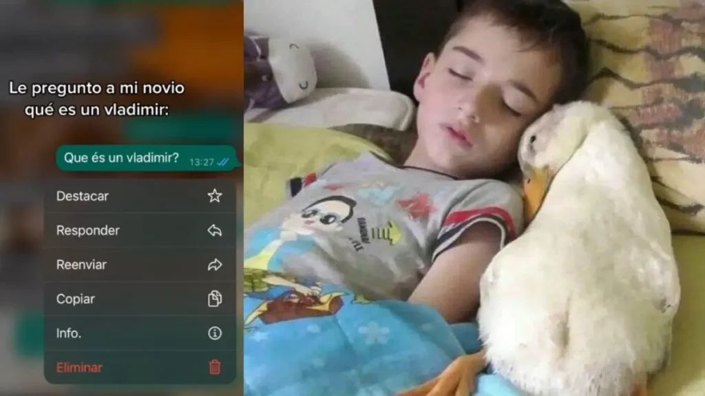 ¿Qué es un Vladimir? La pregunta viral de TikTok