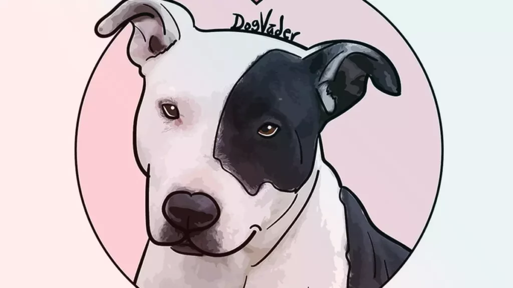 Max, el perro pitbull que defendió su casa no será sacrificado