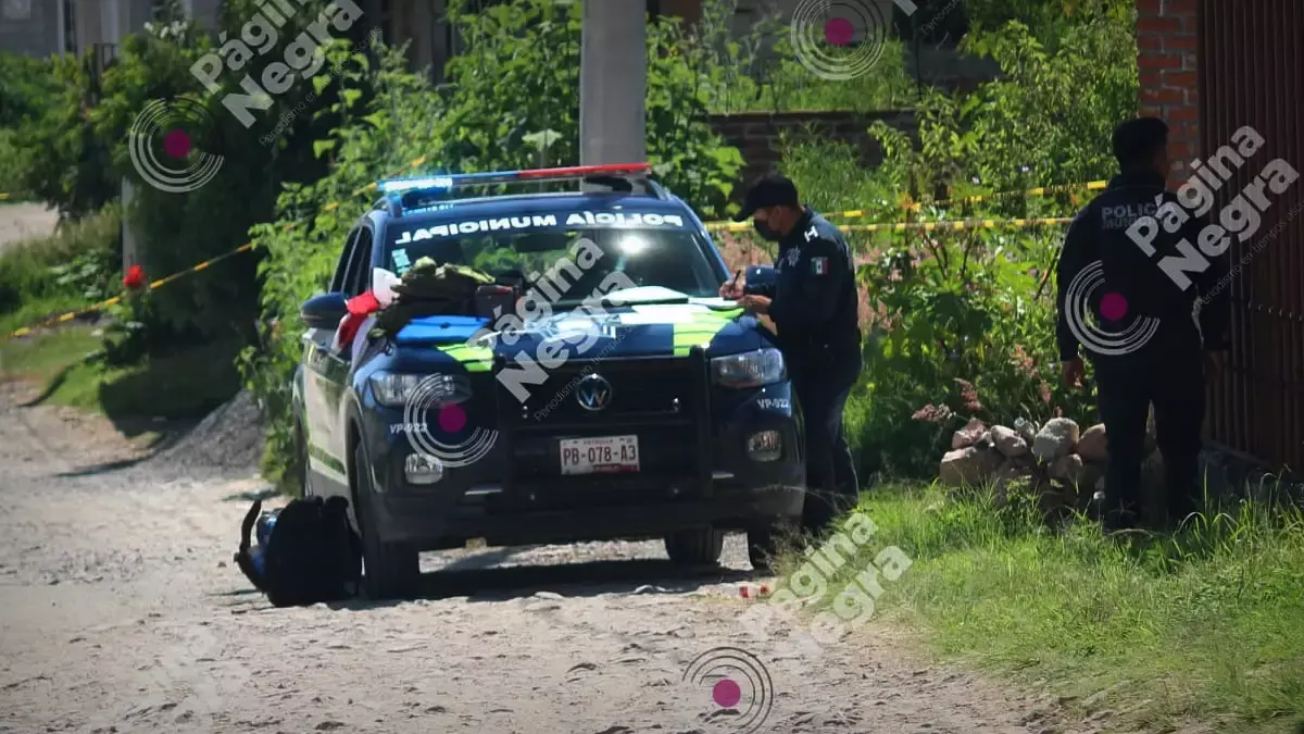 Hallan cuerpo en estado de descomposición en la colonia Santa Catarina; era devorado por perros