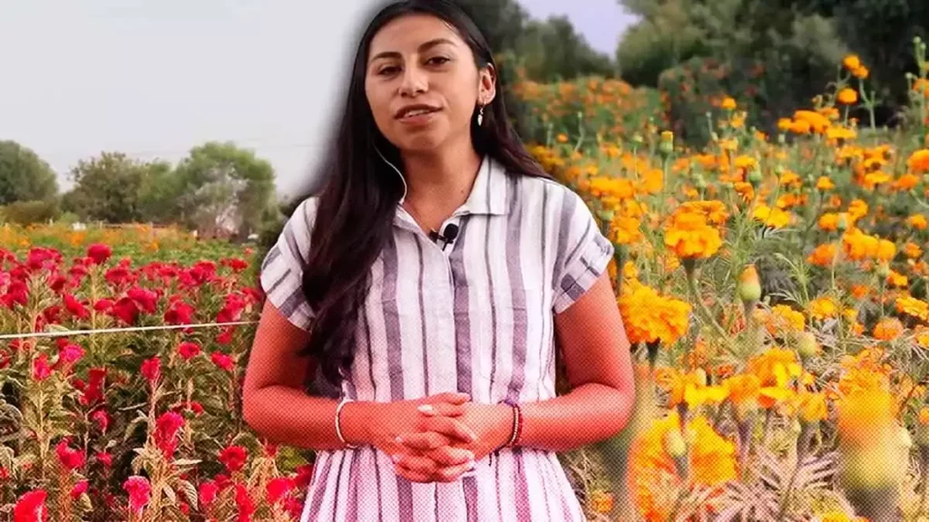Campos de Cempasúchil de Puebla listos para adornar las ofrendas