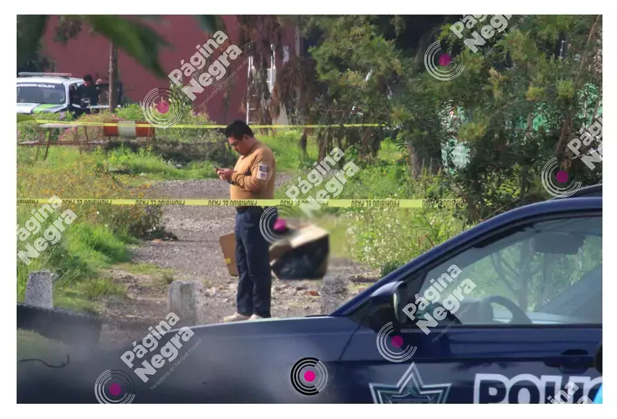En cajas y bolsas, hallan restos humanos en la colonia Cleotilde Torres