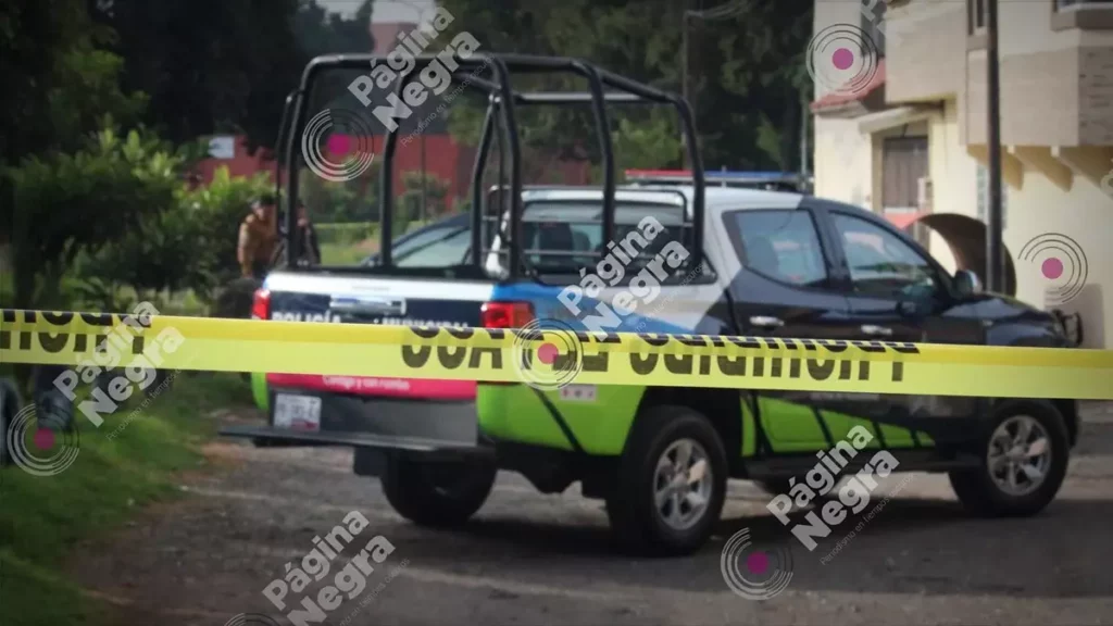 En cajas y bolsas, hallan restos humanos en la colonia Cleotilde Torres