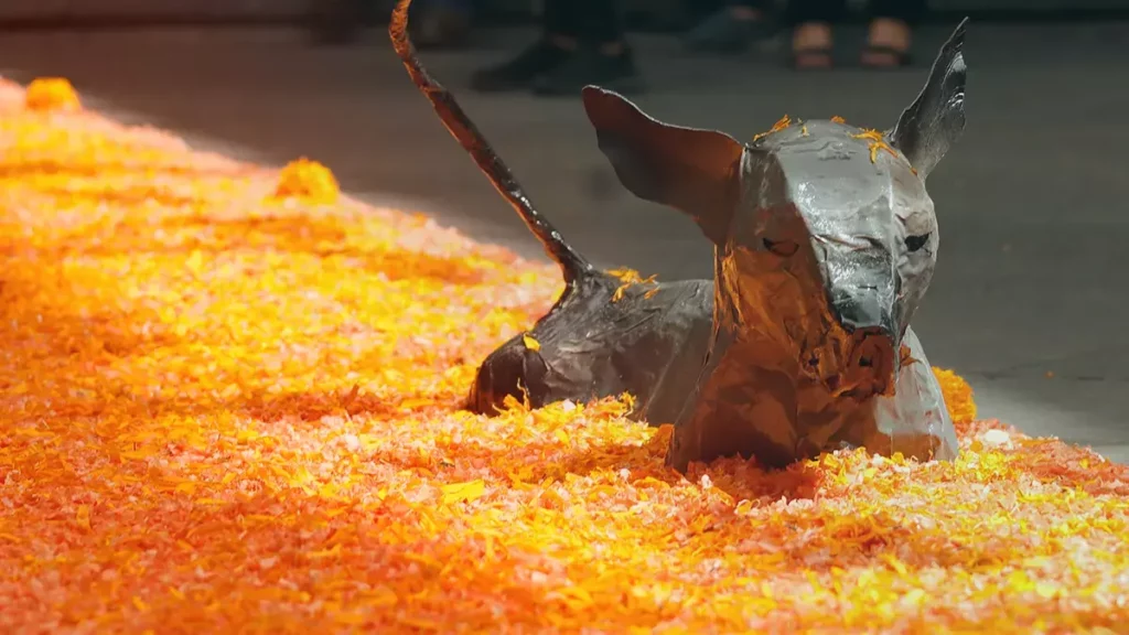 27 de octubre: 'Día de Muertos de Mascotas' ¿Qué se pone en la ofrenda?