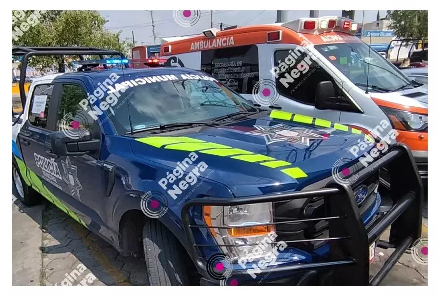 Sujetos armados asaltaron la tienda Coppel Canadá en la colonia Reforma Sur