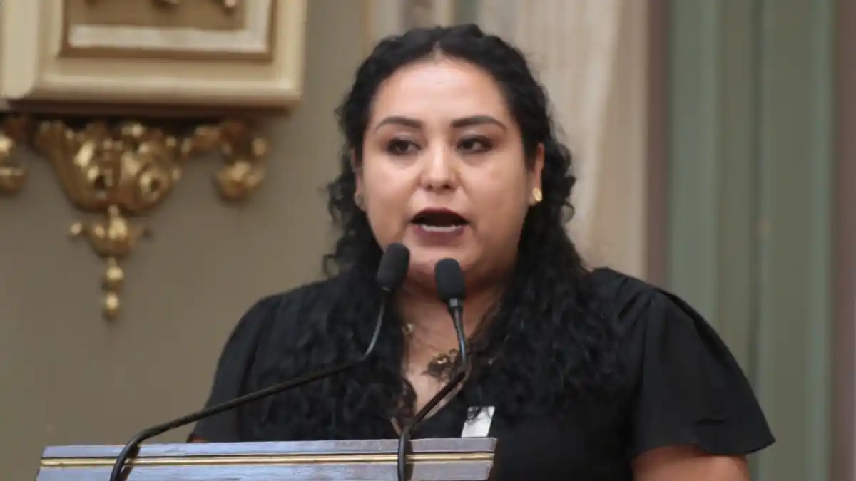 Promueven en el Congreso Iniciativa para evitar el sacrificio de animales abandonados