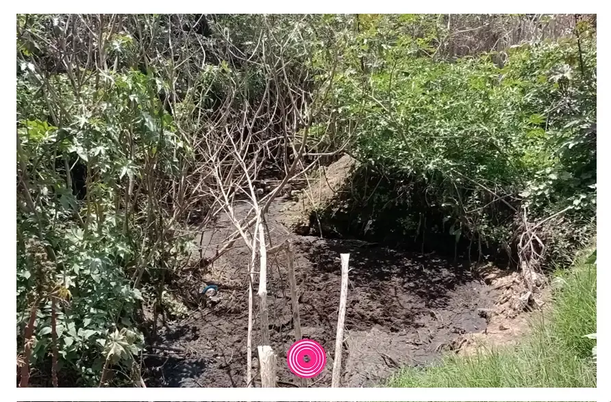 Entre hedor y enfermedades, viven los vecinos del Rastro Municipal de Puebla