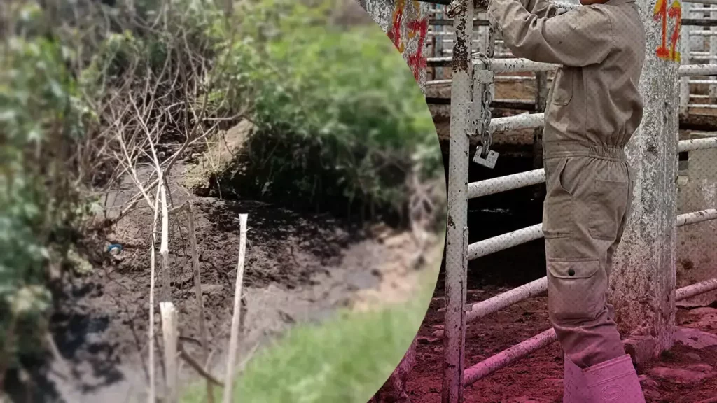 Entre hedor y enfermedades, viven los vecinos del Rastro Municipal de Puebla