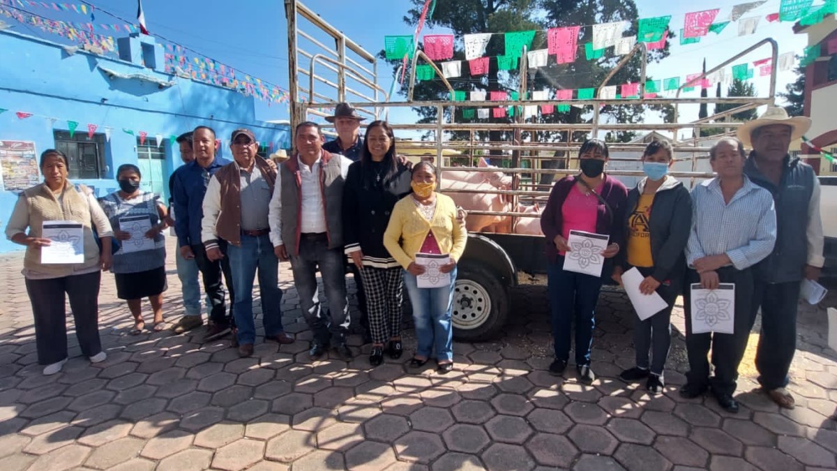 Ariadna Ayala cumple compromiso: Inicia mejoramiento genético porcino.