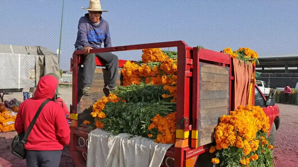 Ambulantes acapararon ventas de flor de Cempasúchil: denuncian locatarios de mercados.