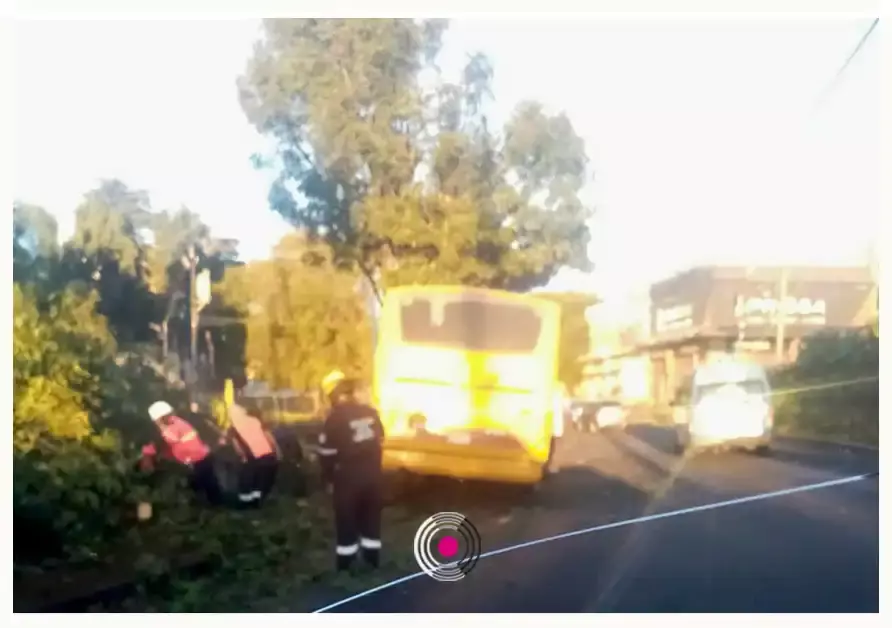 Ruta Amarillos choca con árboles y poste de luz en la Romero Vargas.
