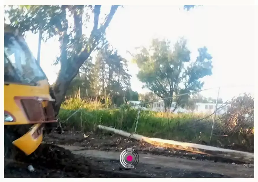 Ruta Amarillos choca con árboles y poste de luz en la Romero Vargas.