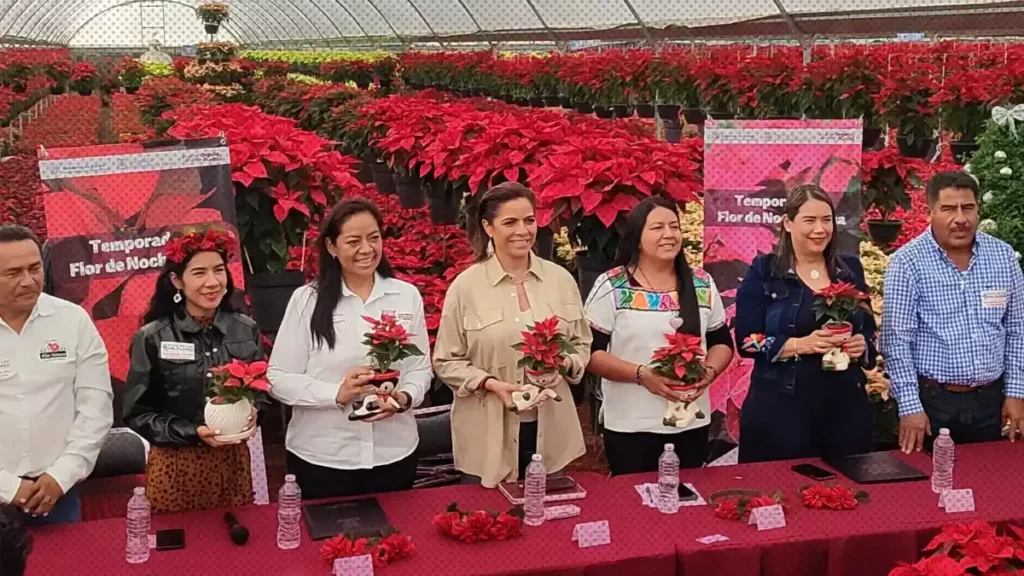 Corre a la "Ruta de las Flores: Temporada de Nochebuena'' en Atlixco