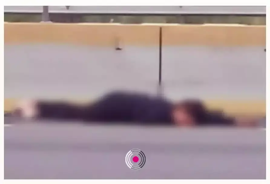 Muere atropellada en la autopista México-Puebla, altura de Xoxtla.