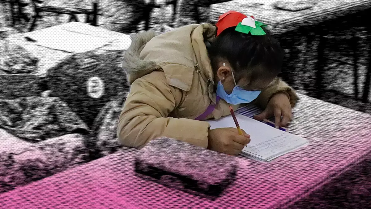 El 9% de los niños de Puebla no saben leer ni escribir: IMCO