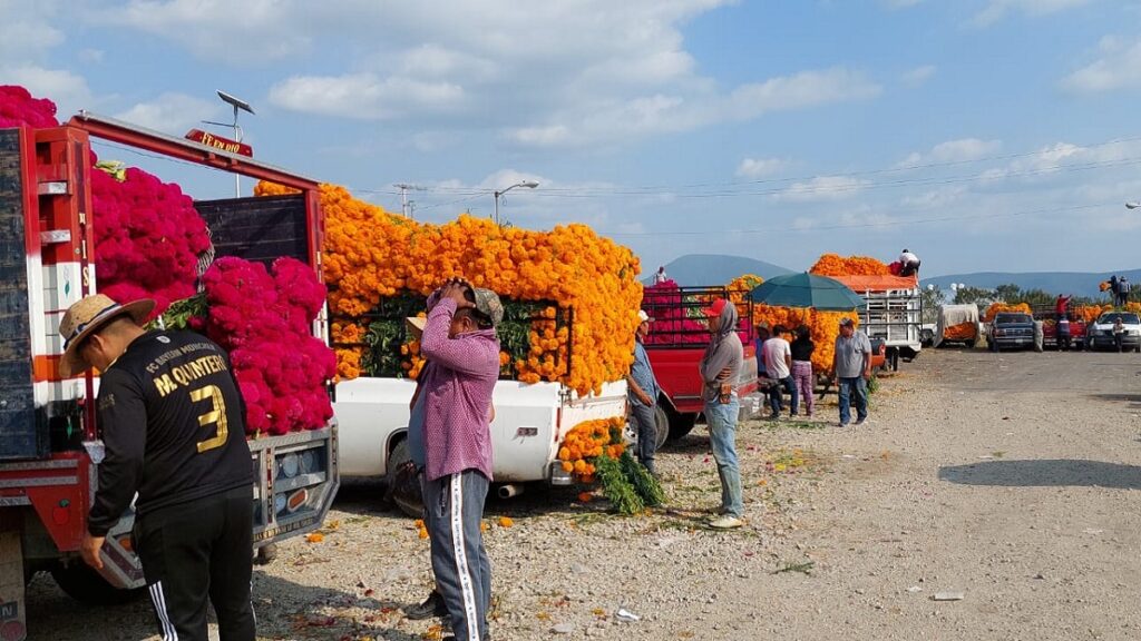 Más 124 mdp deja venta de flor de muertos en plazuela Santa Rita de Atlixco.