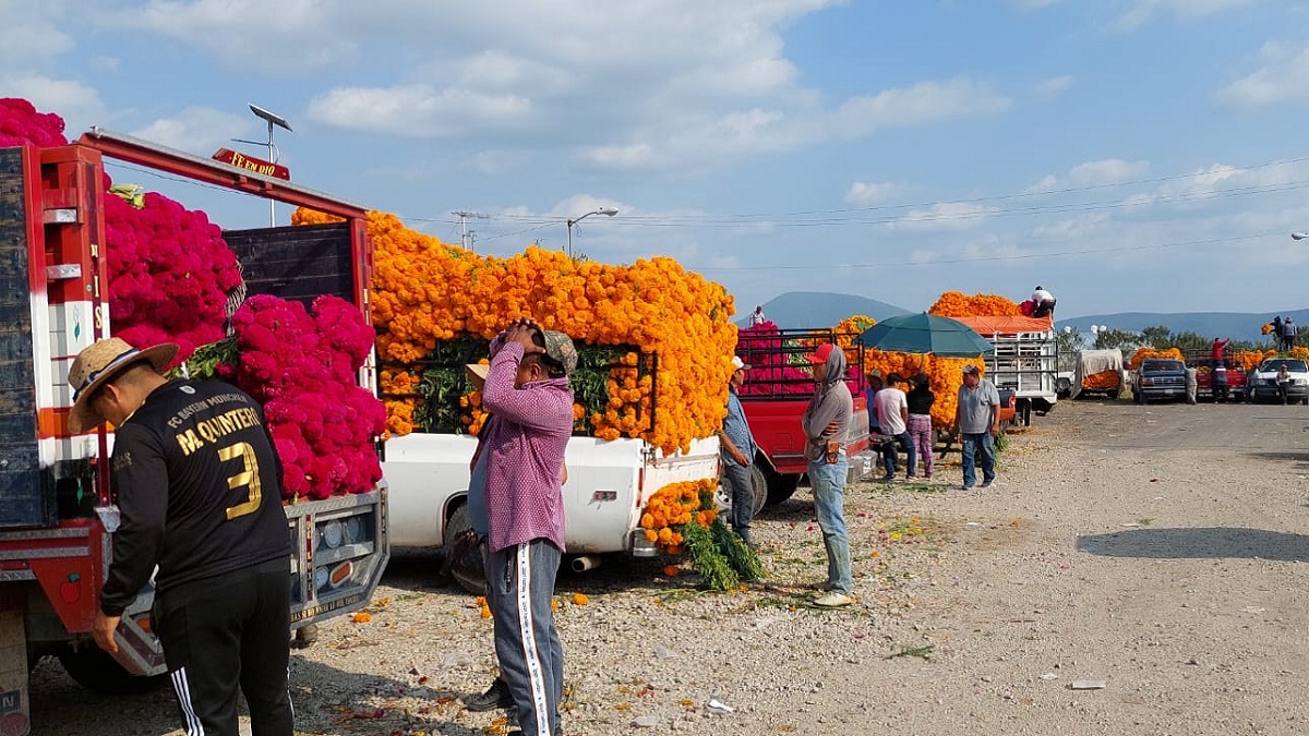 Más 124 mdp deja venta de flor de muertos en plazuela Santa Rita de Atlixco.