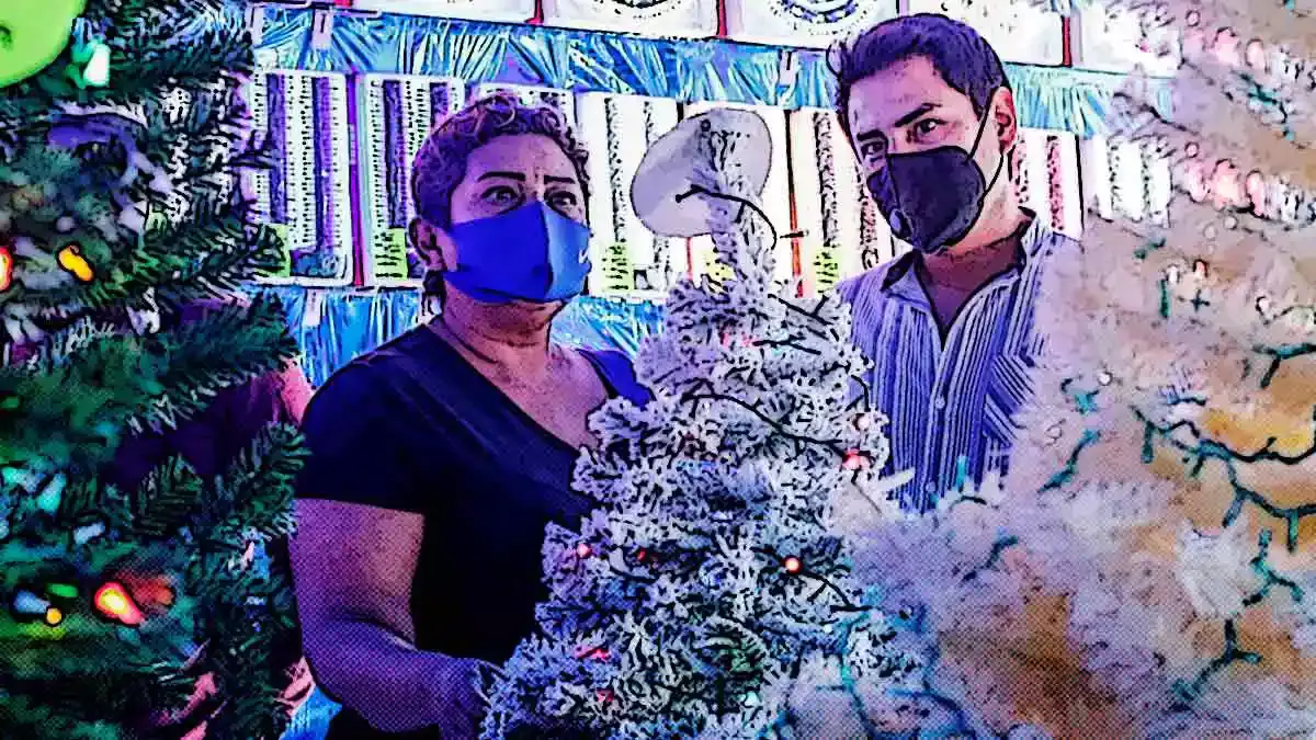Aquí el Top 5 para comprar arbolitos de navidad en Puebla