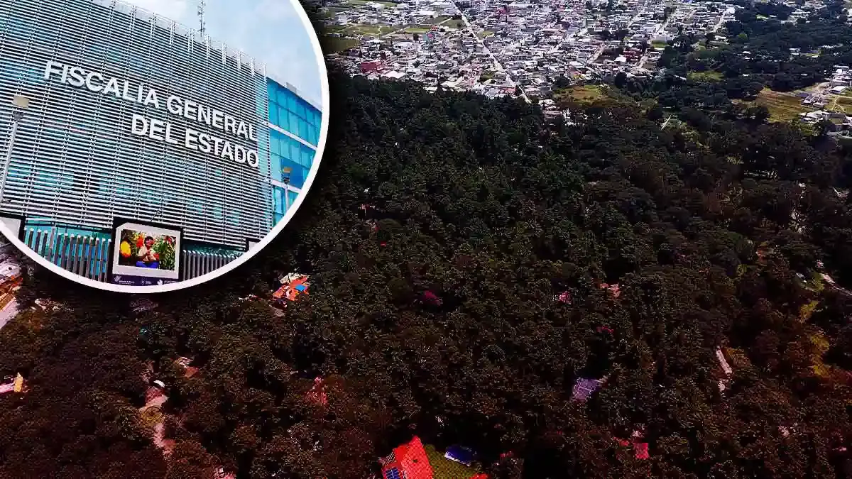 Exigen a Fiscalía de Puebla intervenir por oficio en tala ilegal en Flor del Bosque