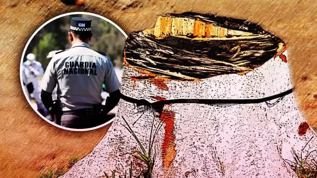 GN realizará operativos en Huejotzingo contra tala y robo de tierra para viveros
