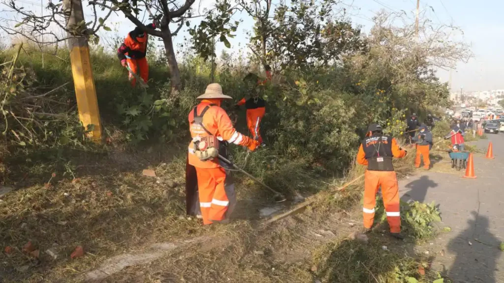 Ayuntamiento de Puebla llega a la avenida Casuarinas con una Jornada de Limpieza Integral