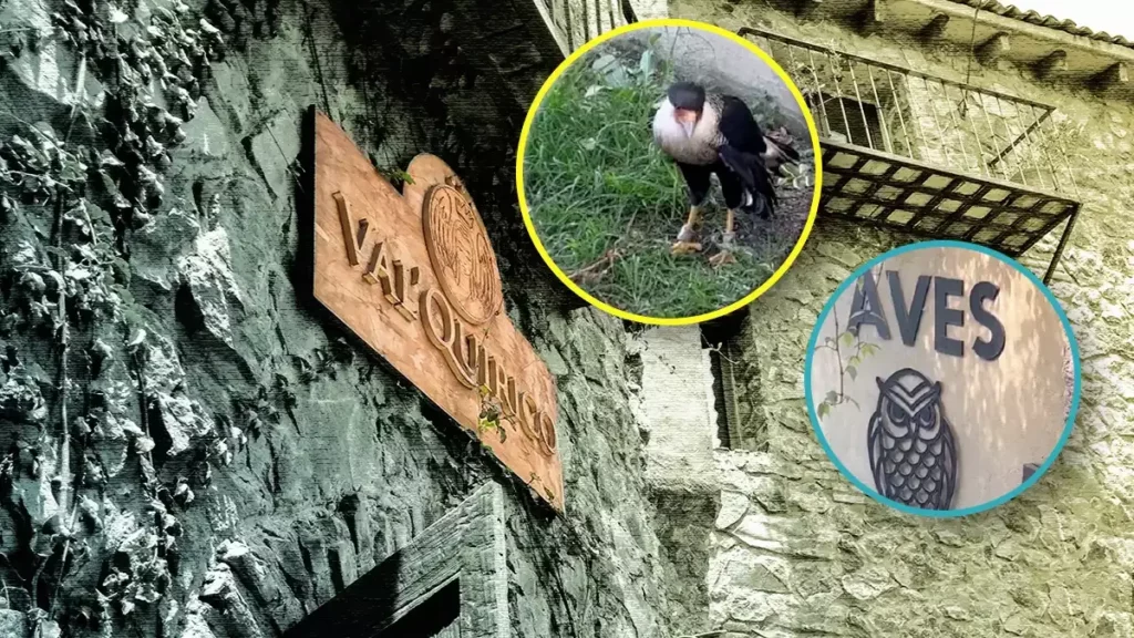Denuncian en redes al “Santuario de Aves” de Val’Quirico por maltrato.