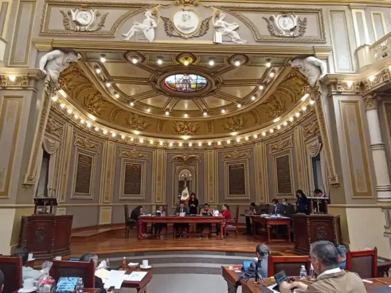 Presentan en el Pleno exhorto para evitar comercialización de heno y musgo en temporada decembrina