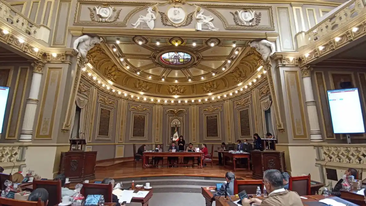 Presentan en el Pleno exhorto para evitar comercialización de heno y musgo en temporada decembrina